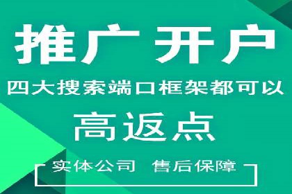 SEM竞价员的核心技能与成功案例解析